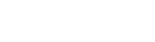 STELSEG