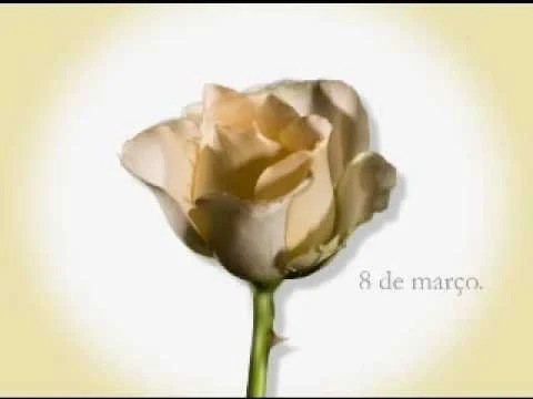BIG LAR 8 de março